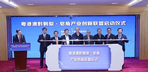 湖北星浩旅游发展有限公司,星浩置业