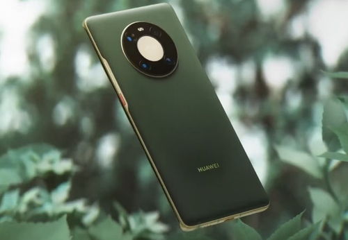 苹果14和华为mate60选哪个,苹果手机和华为mate40哪个好