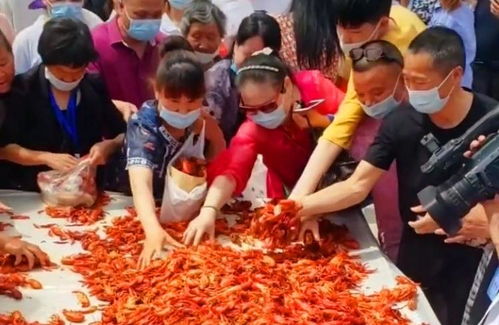 湖北美食节名字大全,湖北美食节名字大全最新