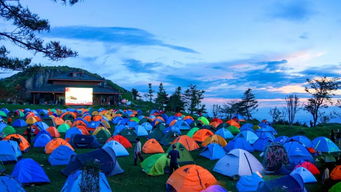 湖北半价游宜昌旅游,湖北宜昌旅游节
