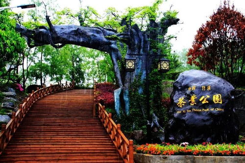 湖北竹溪县旅游景点,湖北省竹溪县有哪些风景区