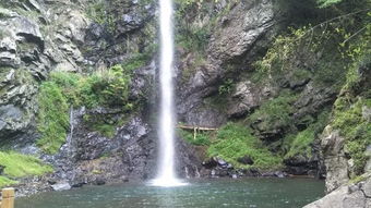 湖北竹溪县旅游景点,湖北省竹溪县有哪些风景区