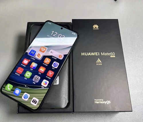 华为mate60是鸿蒙系统吗,2022年华为mate60