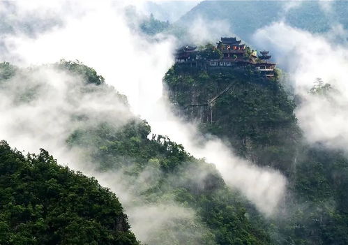 湖北女子到宁波旅游,湖北女子到宁波旅游被抓