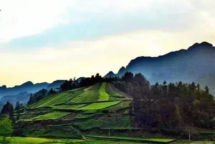 湖北省内旅游端午武汉周边,湖北武汉周边景点