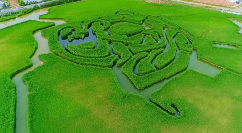 湖北省带娃旅游推荐表,湖北适合带娃去的旅游景点