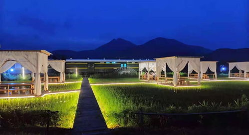 湖北冬天旅游武汉路线,湖北省内冬天旅游