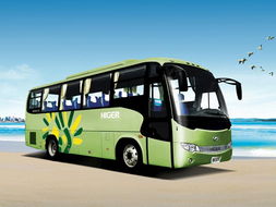 湖北旅游包车租车电话,湖北旅游包车租车电话多少