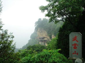 湖北武当山旅游视频直播,湖北武当山门票价格