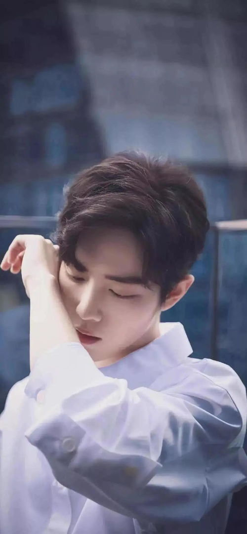 肖战参观湖北美食视频高清,肖战参观湖北美食视频高清下载