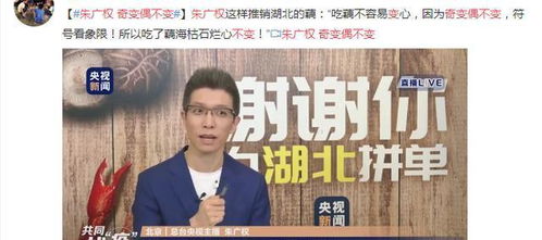 湖北美食专场朱广权,朱广权武汉带货语录