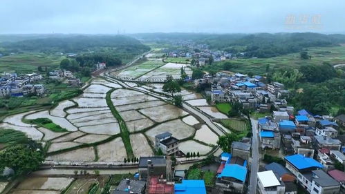 湖北黄石保安旅游攻略,湖北黄石保安旅游攻略图