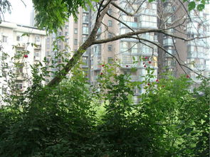 湖北美术学院周围美食街在哪,湖北美术学院旁边的空地 湖北美术学院周围美食街在哪,湖北美术学院旁边的空地