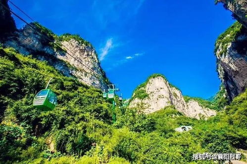 湖北旅游市场免费吗,湖北旅游免票