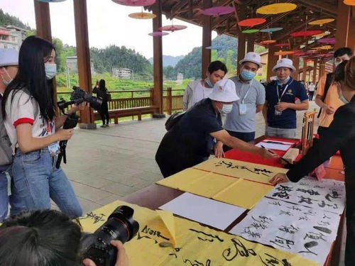 湖北旅游市场免费吗,湖北旅游免票