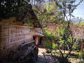 王四去湖北旅游,王四在农村的视频