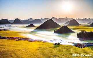 湖北4月份去哪里旅游合适,湖北三四月份适合去哪里旅游