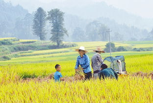 湖北秋收旅游,湖北赏秋地方推荐