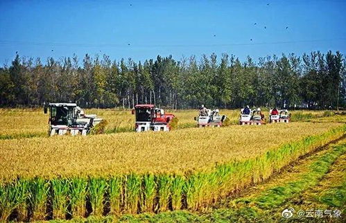 湖北秋收旅游,湖北赏秋地方推荐