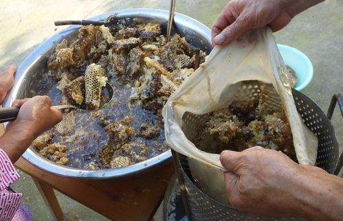 湖北美食在苏州哪里卖的,湖北哪里美食多