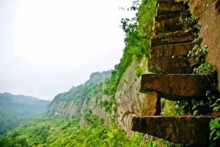 湖北什么楼攻略旅游,湖北有什么楼出名