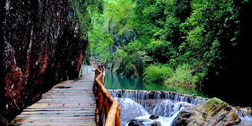 湖北惠州免费旅游,惠州免费景点大全自驾游