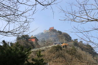 湖北梅州旅游,梅州旅游网