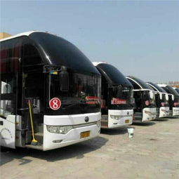 湖北旅游班列,湖北旅游客运大巴图片