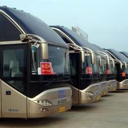 湖北旅游班列,湖北旅游客运大巴图片