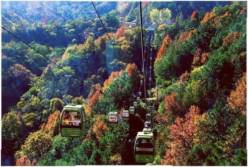 湖北英山旅游团,湖北英山旅游景点