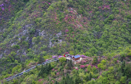 寒假去湖北旅游最好,湖北暑假旅游好去处推荐 寒假去湖北旅游最好,湖北暑假旅游好去处推荐