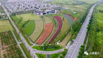 51嘉兴回湖北旅游,嘉兴回湖北需隔离吗 51嘉兴回湖北旅游,嘉兴回湖北需隔离吗