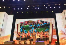 湖北文化旅游论坛,湖北省文化旅游发展协会