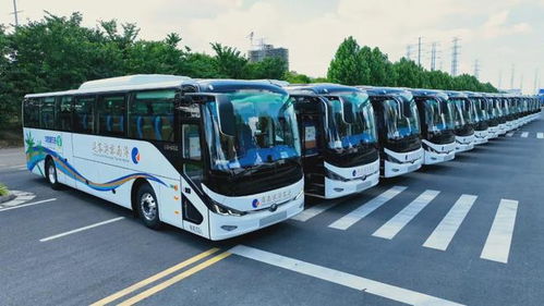 宇通湖北旅游客运,宇通旅游大巴图片