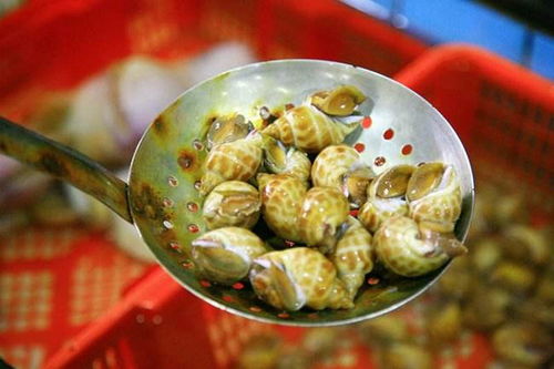 湖北美食兰姐是谁的徒弟,兰姐小吃