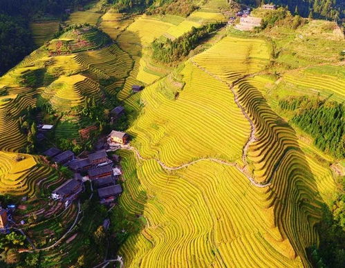 湖北秭归梯田旅游,湖北秭归梯田旅游景点介绍 湖北秭归梯田旅游,湖北秭归梯田旅游景点介绍