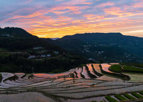 湖北秭归梯田旅游,湖北秭归梯田旅游景点介绍 湖北秭归梯田旅游,湖北秭归梯田旅游景点介绍