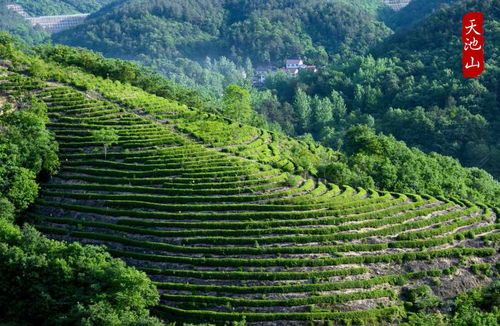 湖北小众休闲旅游,湖北休闲旅游景点
