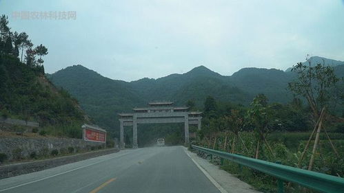 陕西去湖北旅游线路图,陕西省到湖北省