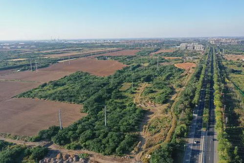 湖北龙山旅游视频,航拍龙山