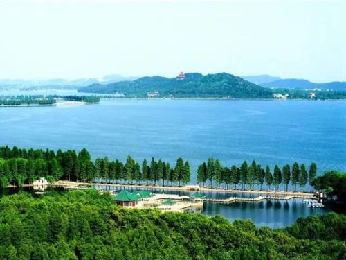 湖北阳逻海外旅游,武汉阳逻景区