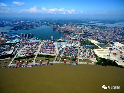 湖北阳逻海外旅游,武汉阳逻景区