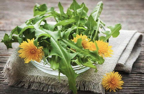 湖北旅游业何时恢复正常,花生和蒲公英可以一起吃吗