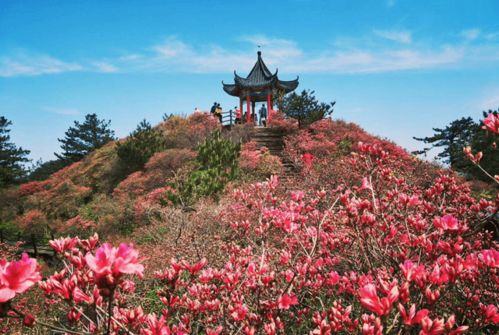 五一湖北美食旅游攻略,五一湖北旅游景点