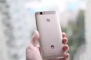 倪海杉华为mate60激活,华为nova65g怎么激活