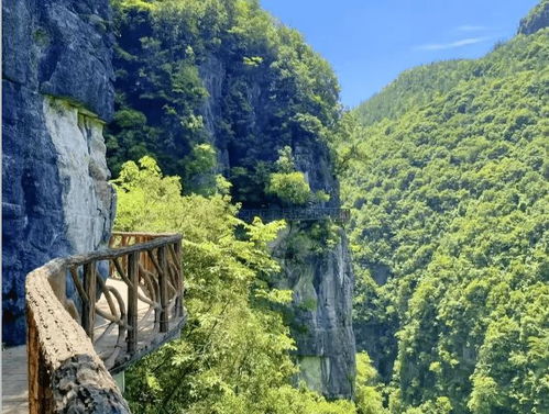 湖北恩施成团旅游,湖北恩施成团旅游景点介绍