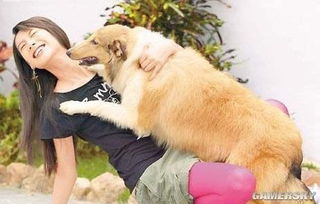 湖北旅游学校养狗视频大全,学校养狗违法吗