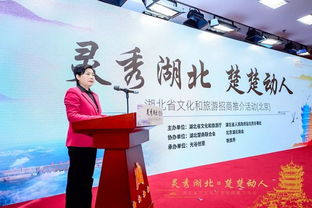 湖北旅游和文化,湖北旅游文化厅领导班子