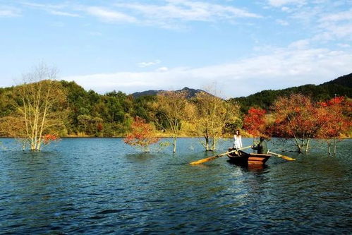 湖北附近旅游景区推荐,湖北附近旅游的地方