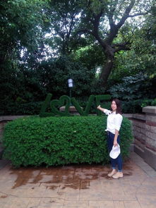 湖北芜湖旅游攻略,芜湖旅游地点